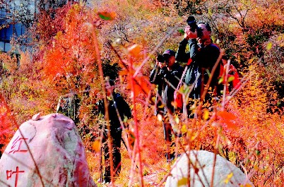 灵石石膏山