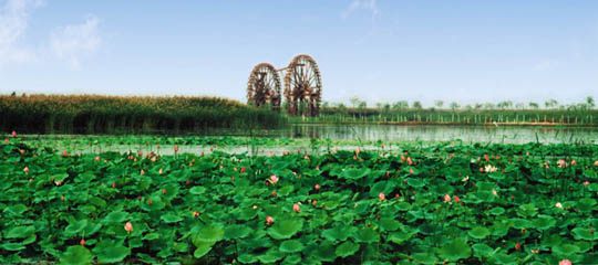 鸣翠湖